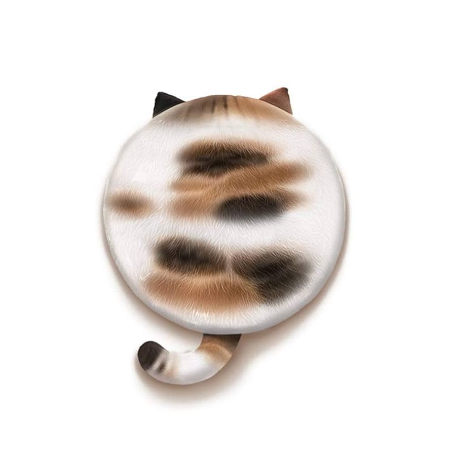 「丸まって眠っている猫」 【フレームサイズ 32×26cm 】 yz2092-01.jpg